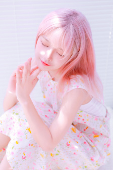 噼里啪啦的在线观看免费